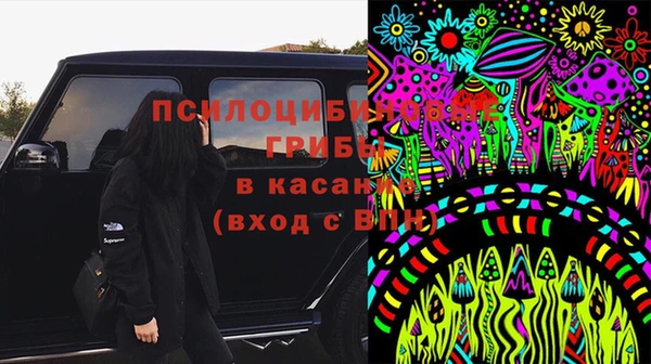 гидра Вяземский