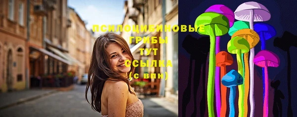 гидра Вяземский