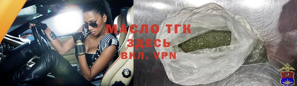 гидра Вяземский