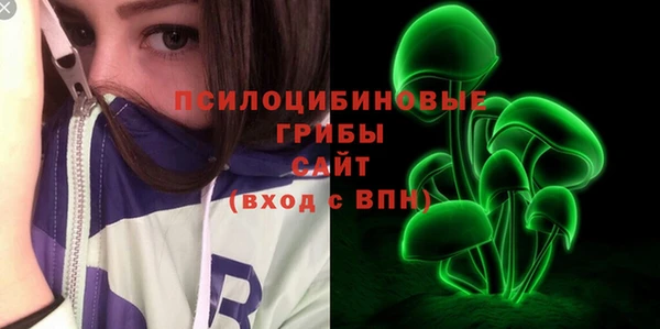 гидра Вяземский