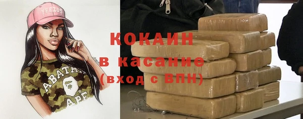 гидра Вяземский
