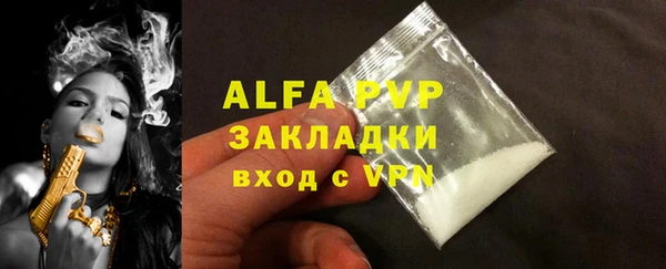 гидра Вяземский