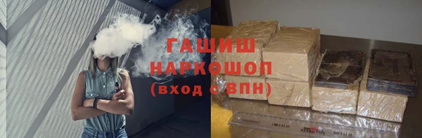 гидра Вяземский