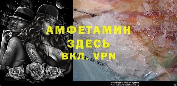 гидра Вяземский