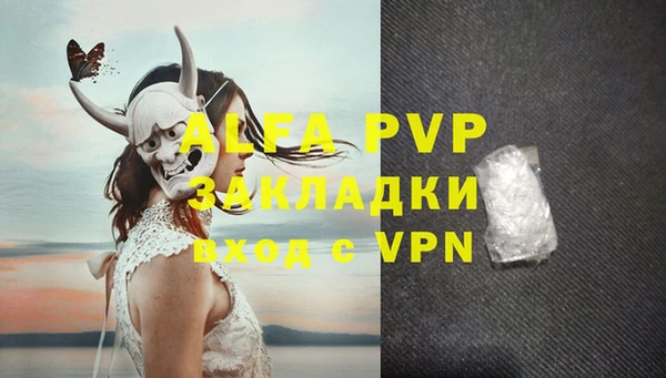 гидра Вяземский