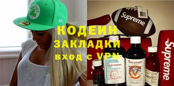 гидра Вяземский