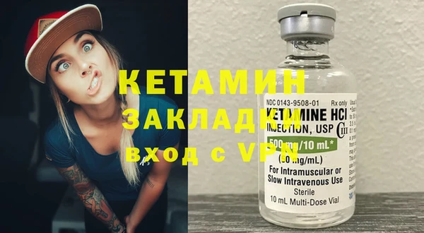 гидра Вяземский