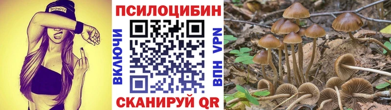 Псилоцибиновые грибы Psilocybine cubensis  hydra рабочий сайт  Томилино 